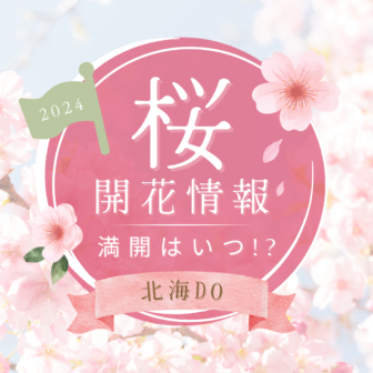 2024年桜開花はいつ!?北海道各地の開花予想をお届け♪アイキャッチ画像